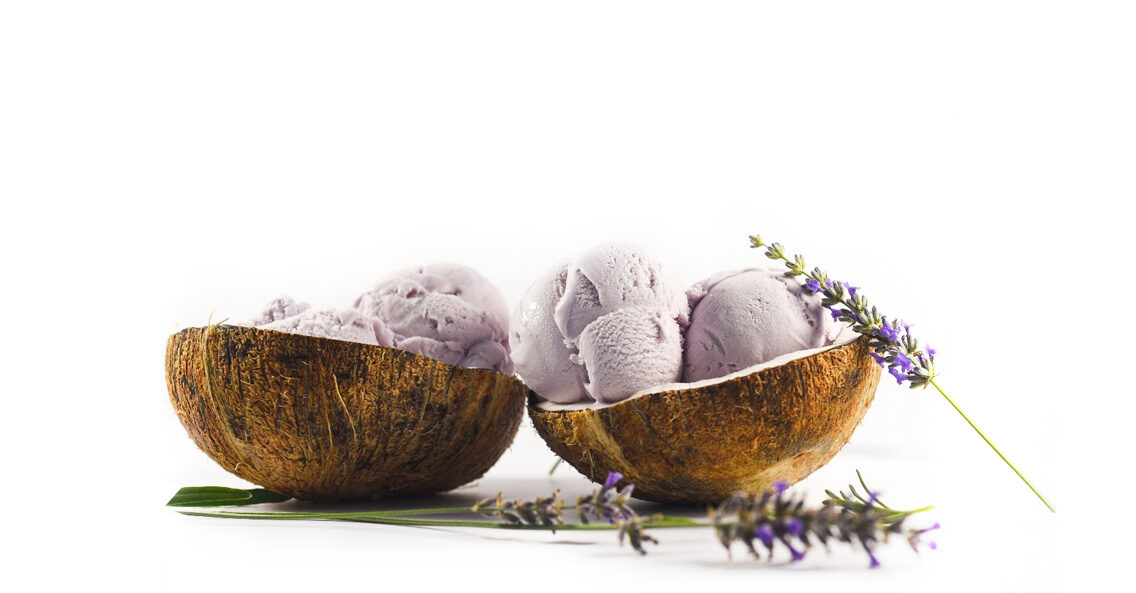 Vegan Ice Cream: Why You Should Invest In Dairy-Free Flavors?
