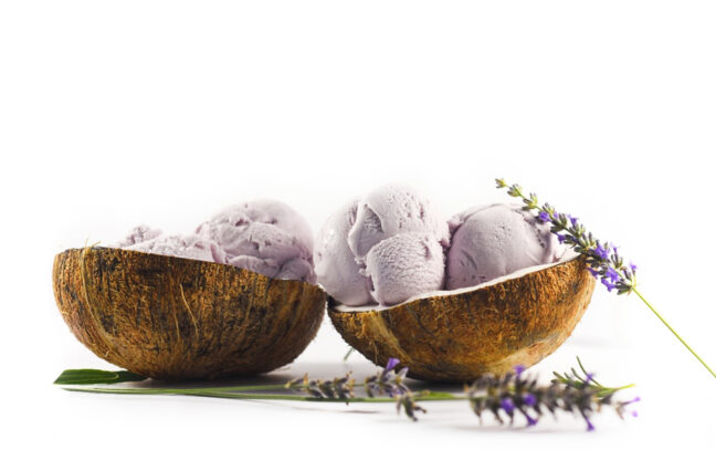 Vegan Ice Cream: Why You Should Invest In Dairy-Free Flavors?