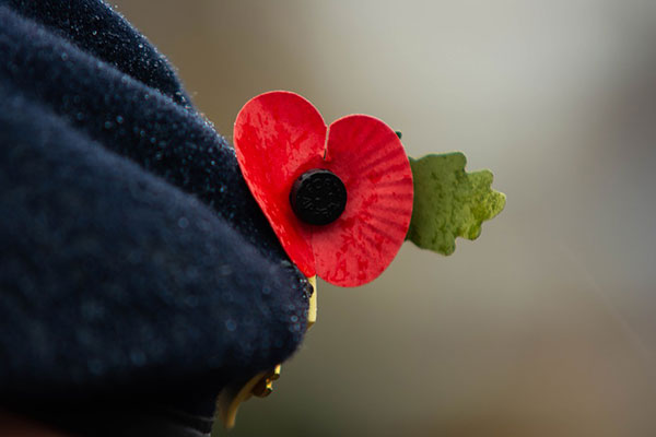 Wear a poppy with pride