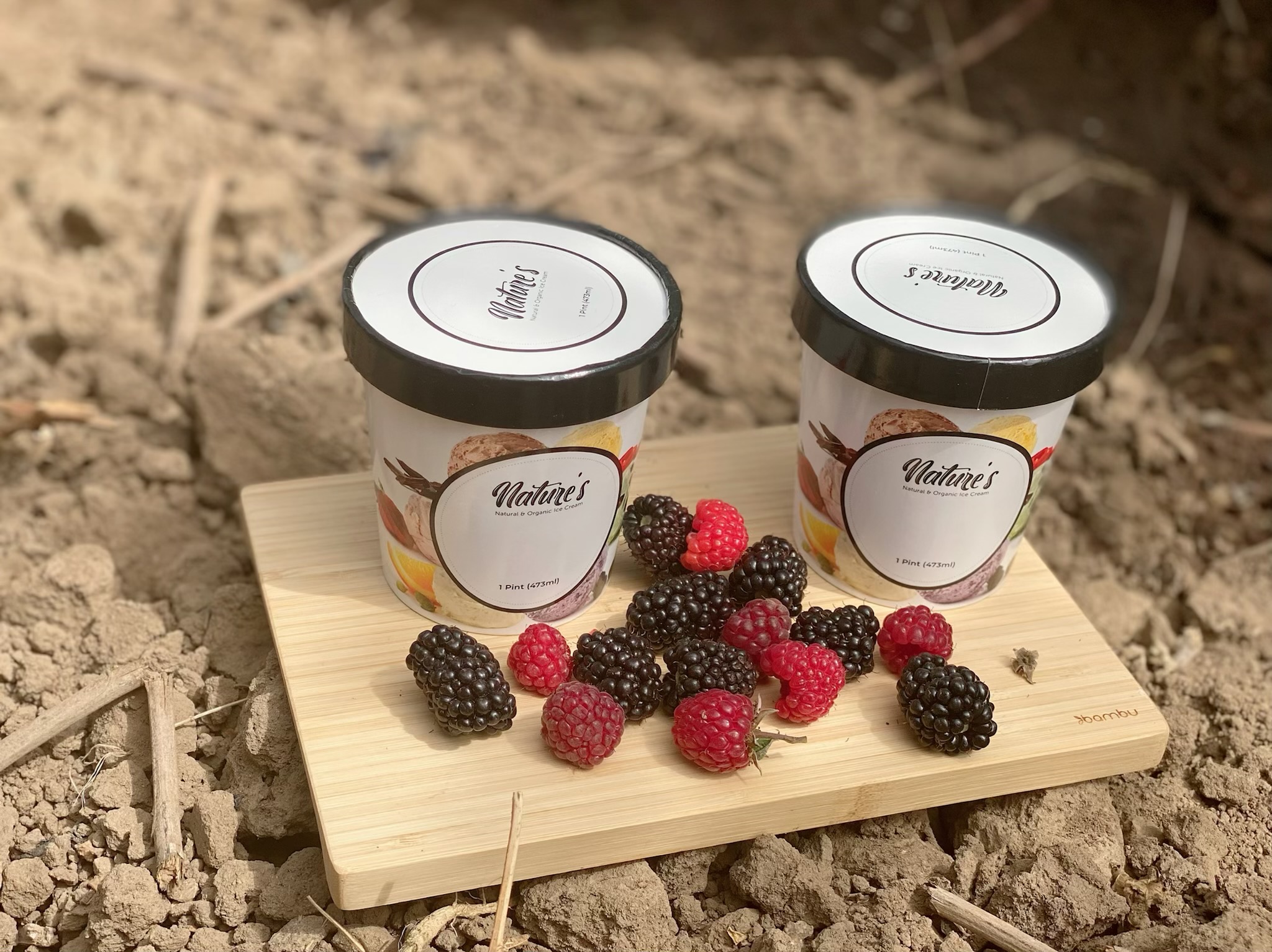 Nature's Organic Ice Cream Image and Video Gallery