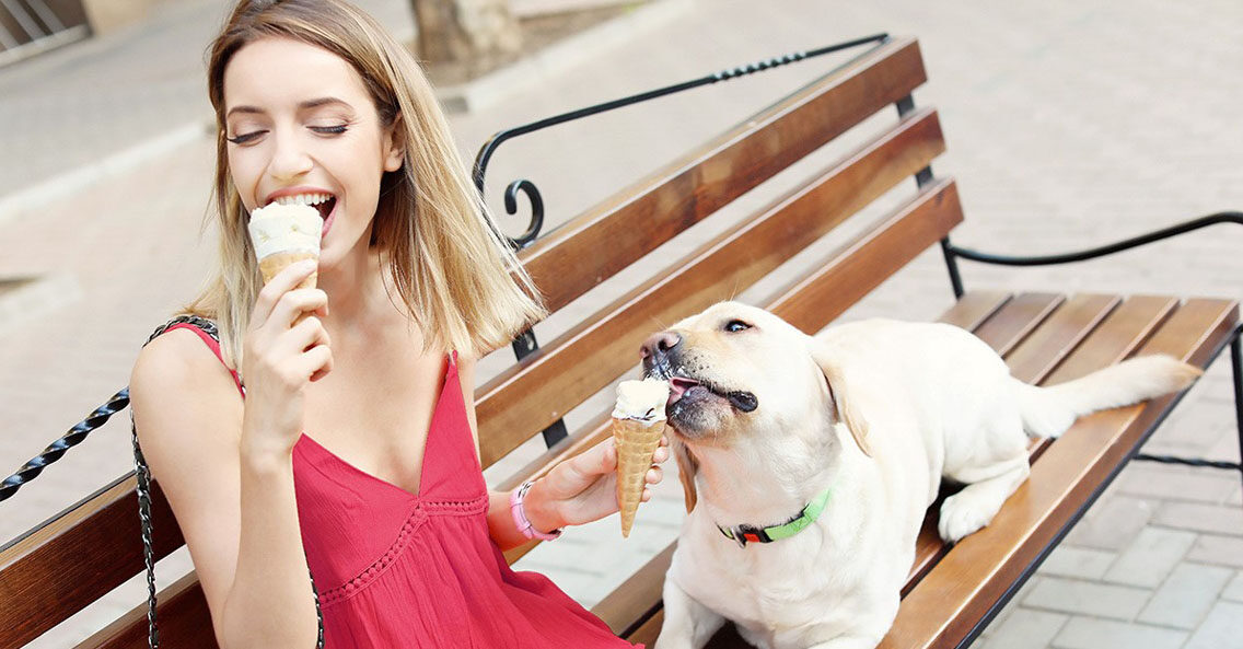 Can Dogs Eat Ice Cream? Let’s Find Out