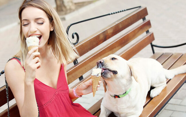 Can Dogs Eat Ice Cream? Let’s Find Out