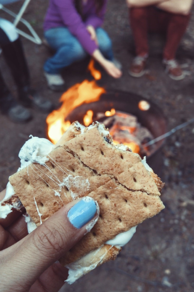 Grilled Berry S'Mores