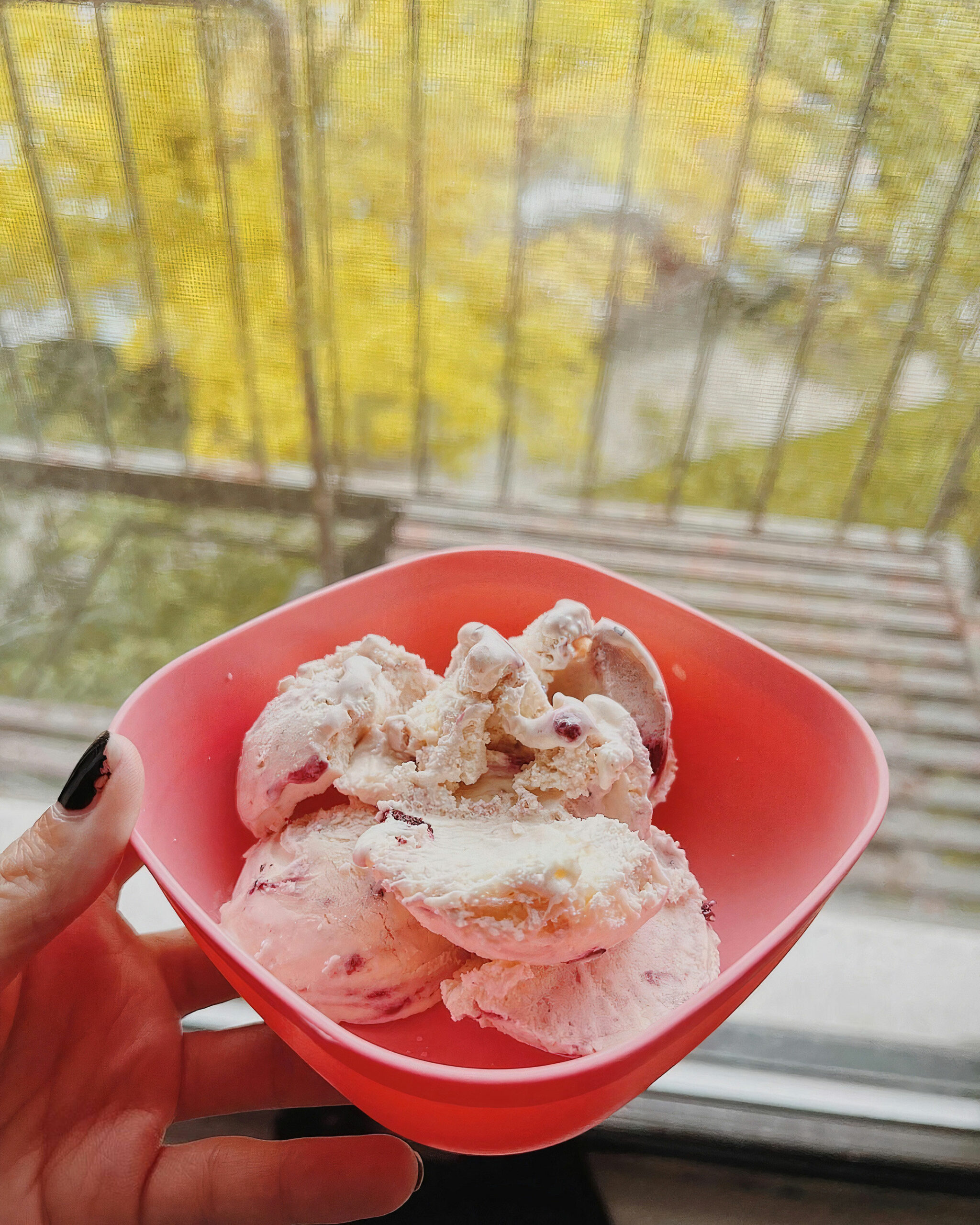 organic ice cream in bowl