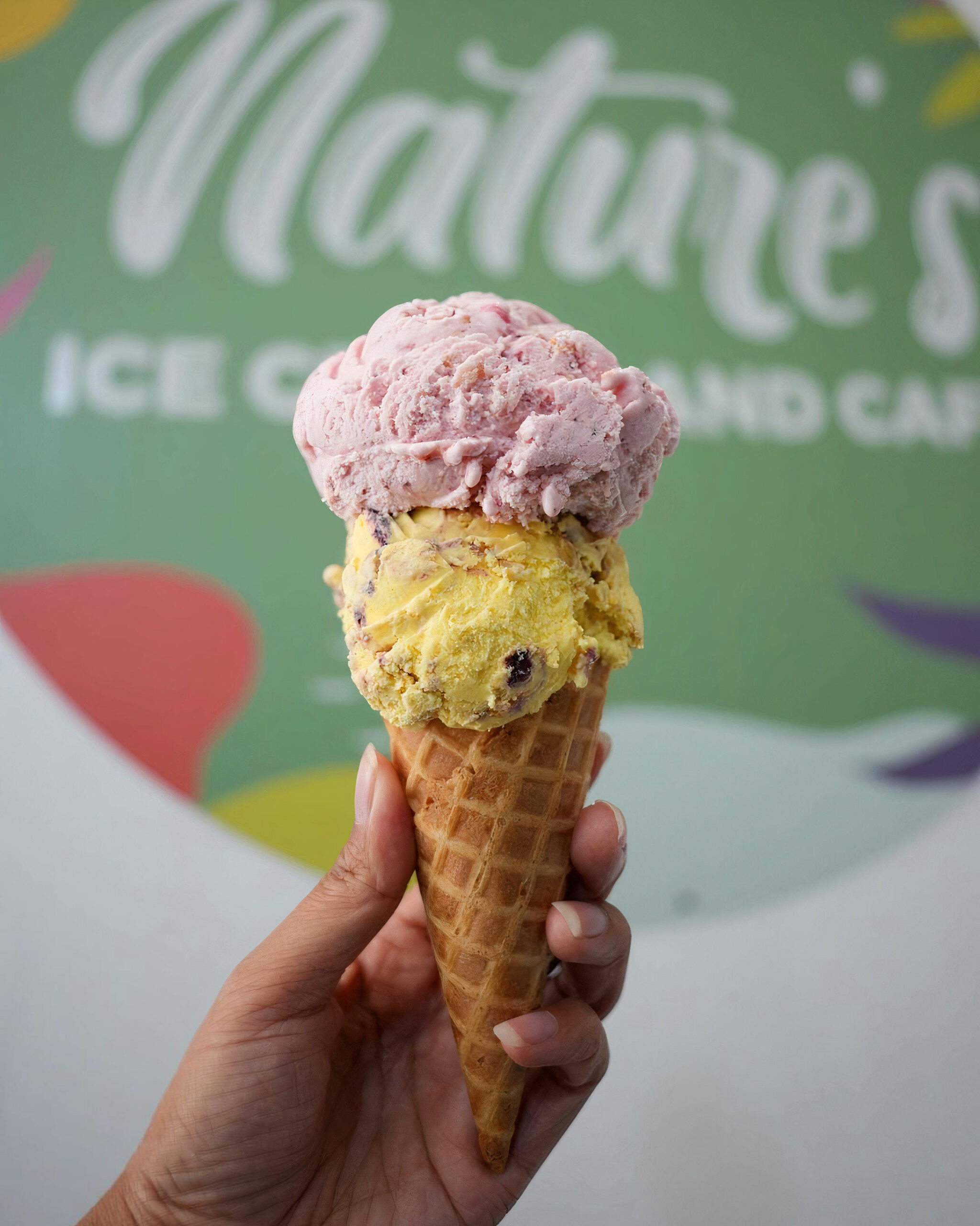 scoop ice cream - nature's organic