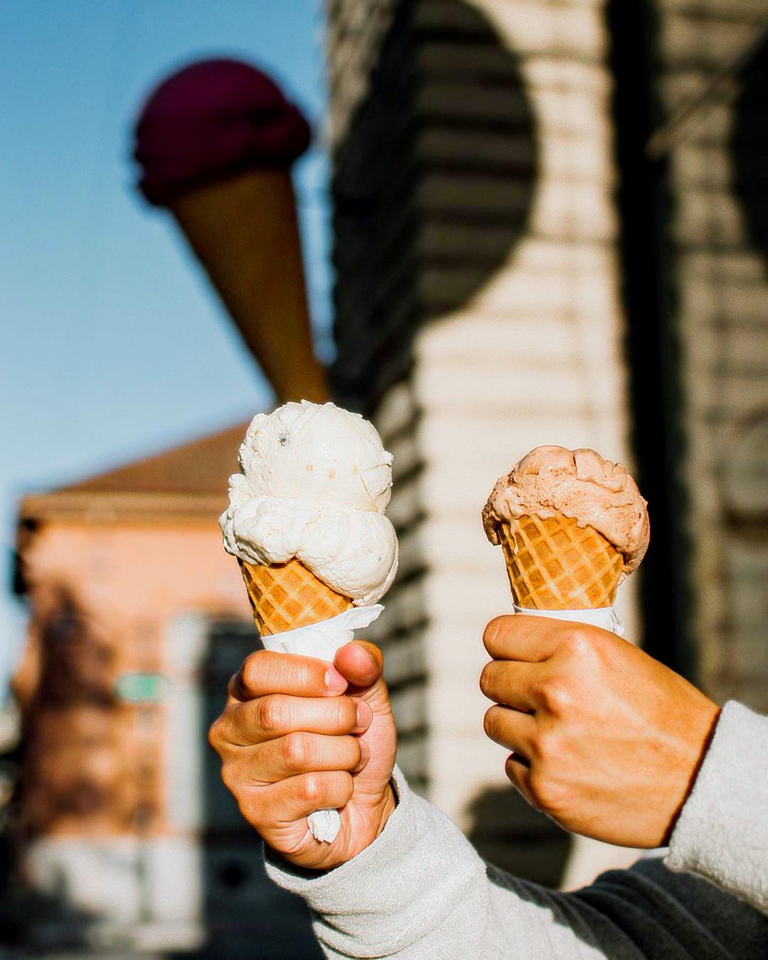 two scoop ice cream flavors- Nature's organic